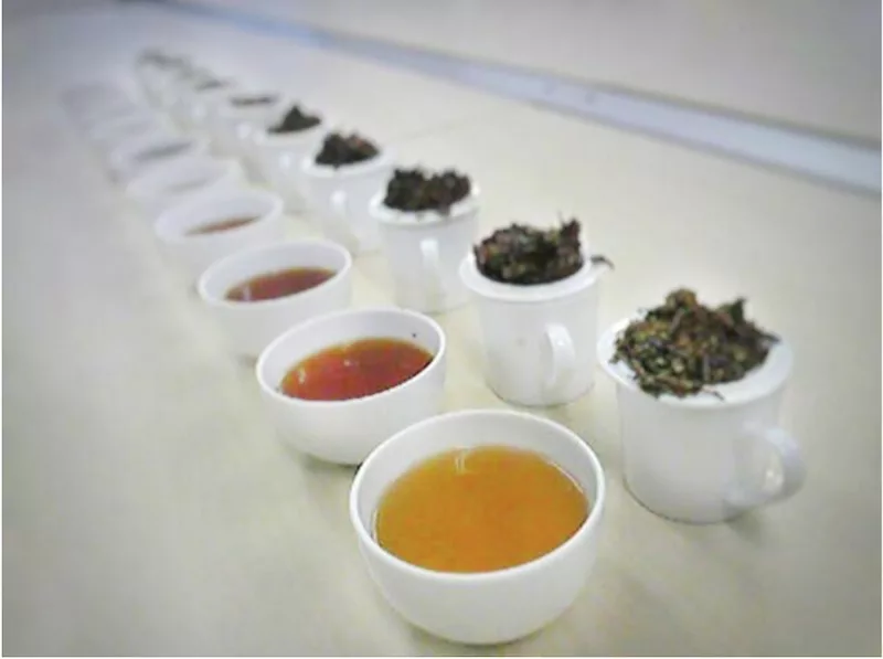 ダージリン紅茶の旬を味わおう ファーストフラッシュの特徴と美味しい淹れ方 Linktea ネパール紅茶