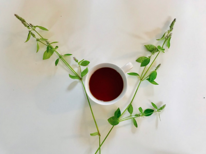 ラベンダーティーの効果効能は 飲み方とおすすめの商品３選 Linktea ネパール紅茶