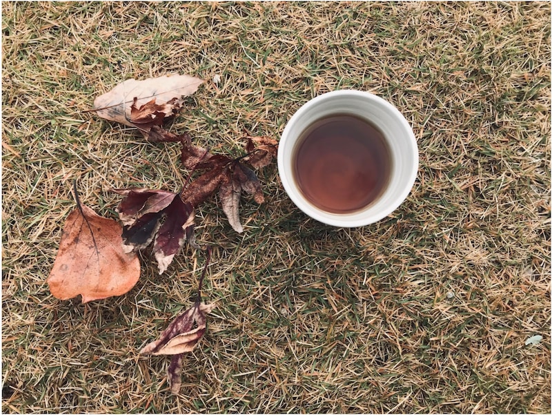 風邪の季節にうってつけ エキナセアティーの効能とおすすめ４選 Linktea ネパール紅茶