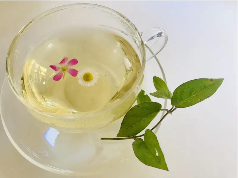 母乳育児に 授乳中におすすめのハーブティー7選 Linktea ネパール紅茶