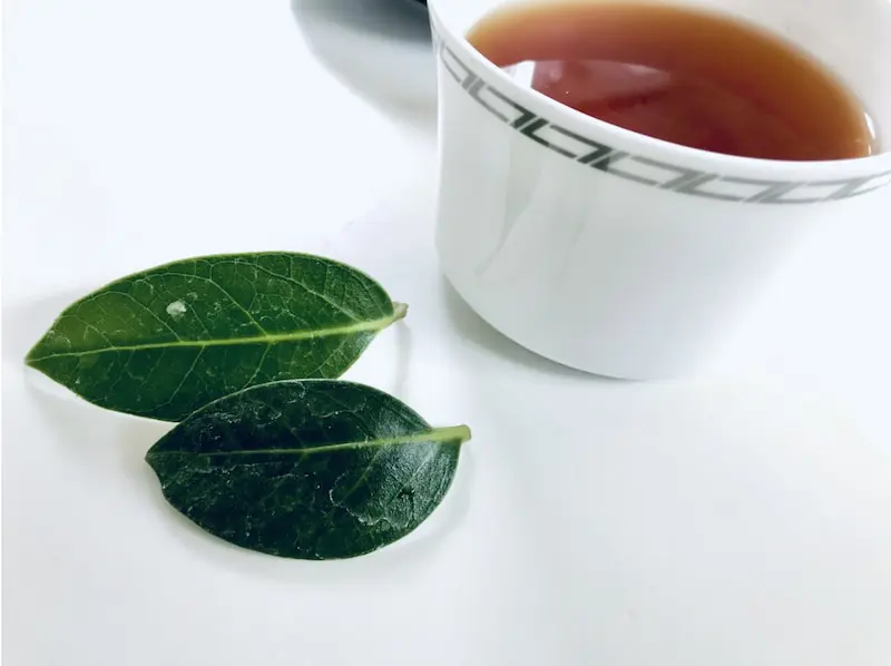 花粉症対策や高血圧予防にもおすすめ グァバ茶の効果効能 Linktea ネパール紅茶