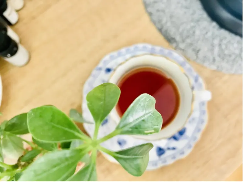 紅茶好き必見！フレーバードティーの種類とおすすめ5選｜ LinkTea-ネパール紅茶