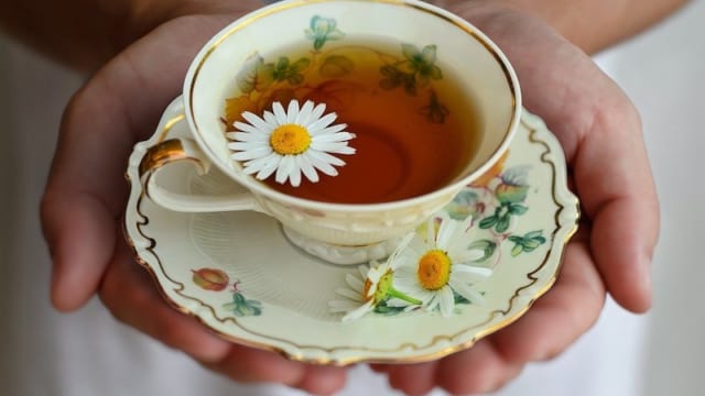 スリランカの紅茶の始まりとは？歴史と産地別特徴について学ぼう｜ LinkTea-ネパール紅茶